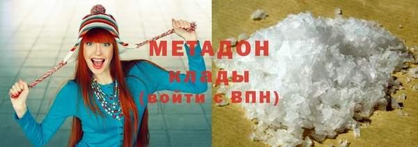 прущие грибы Богданович
