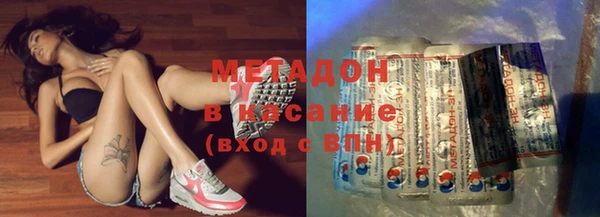 прущие грибы Богданович