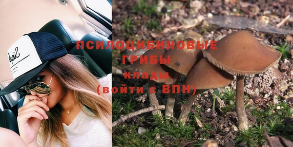 прущие грибы Богданович