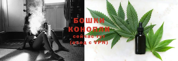 прущие грибы Богданович