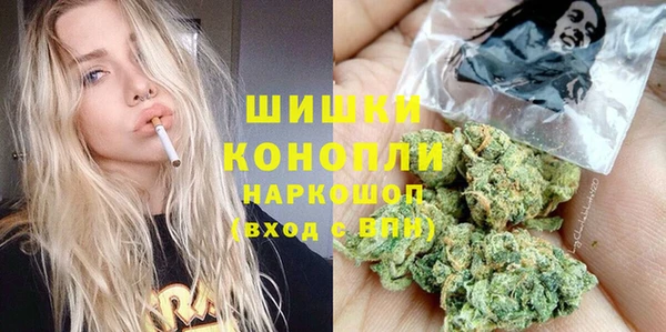 прущие грибы Богданович