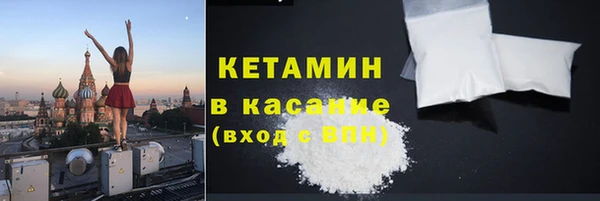 прущие грибы Богданович