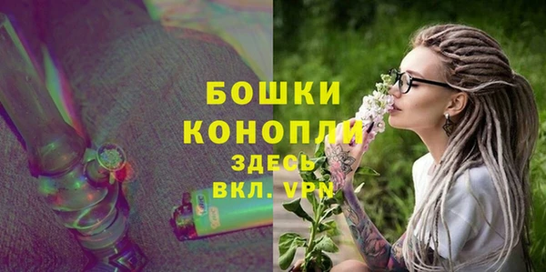 прущие грибы Богданович