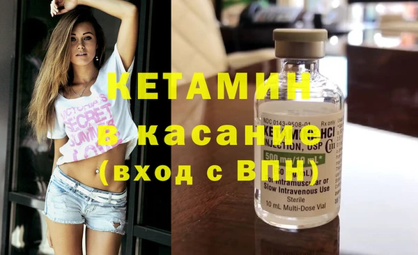 прущие грибы Богданович