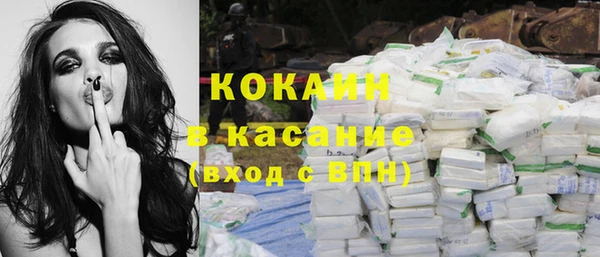 прущие грибы Богданович