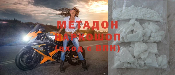 прущие грибы Богданович