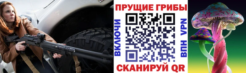 Псилоцибиновые грибы Psilocybe как найти Улан-Удэ